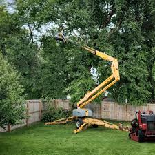 Best Tree Trimming and Pruning  in Pigeon, MI